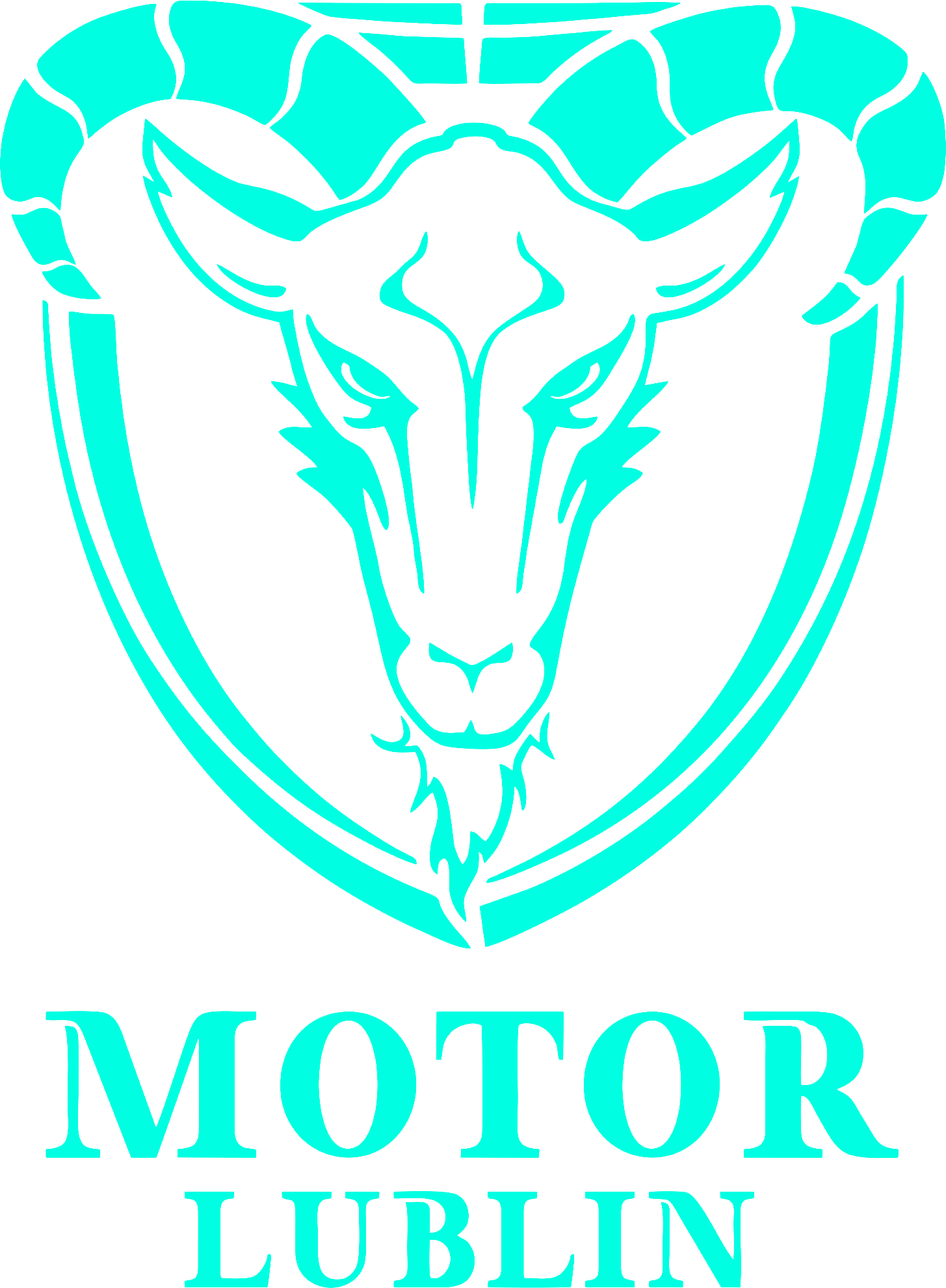 Motor Lublin